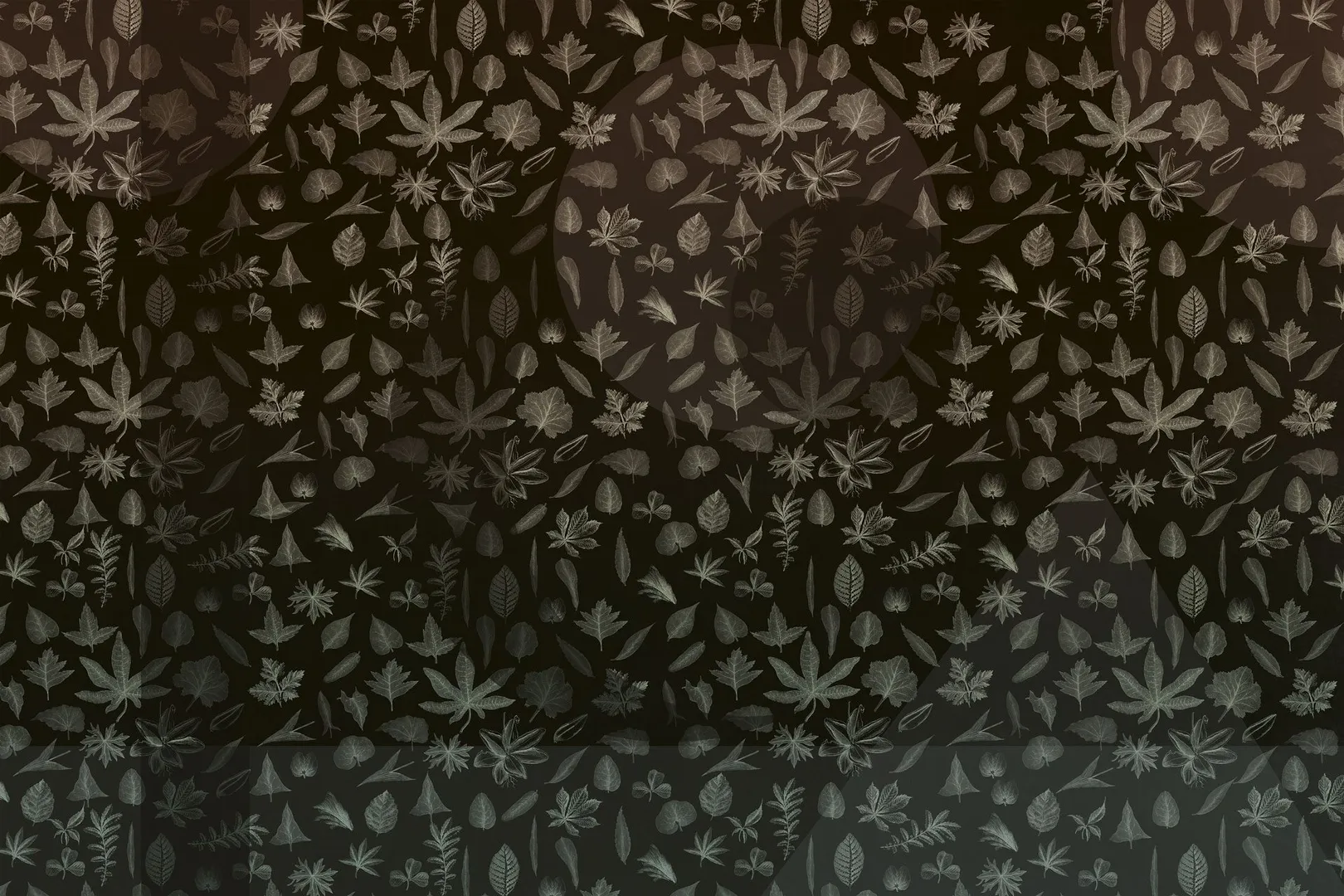 ECLIPSE 1