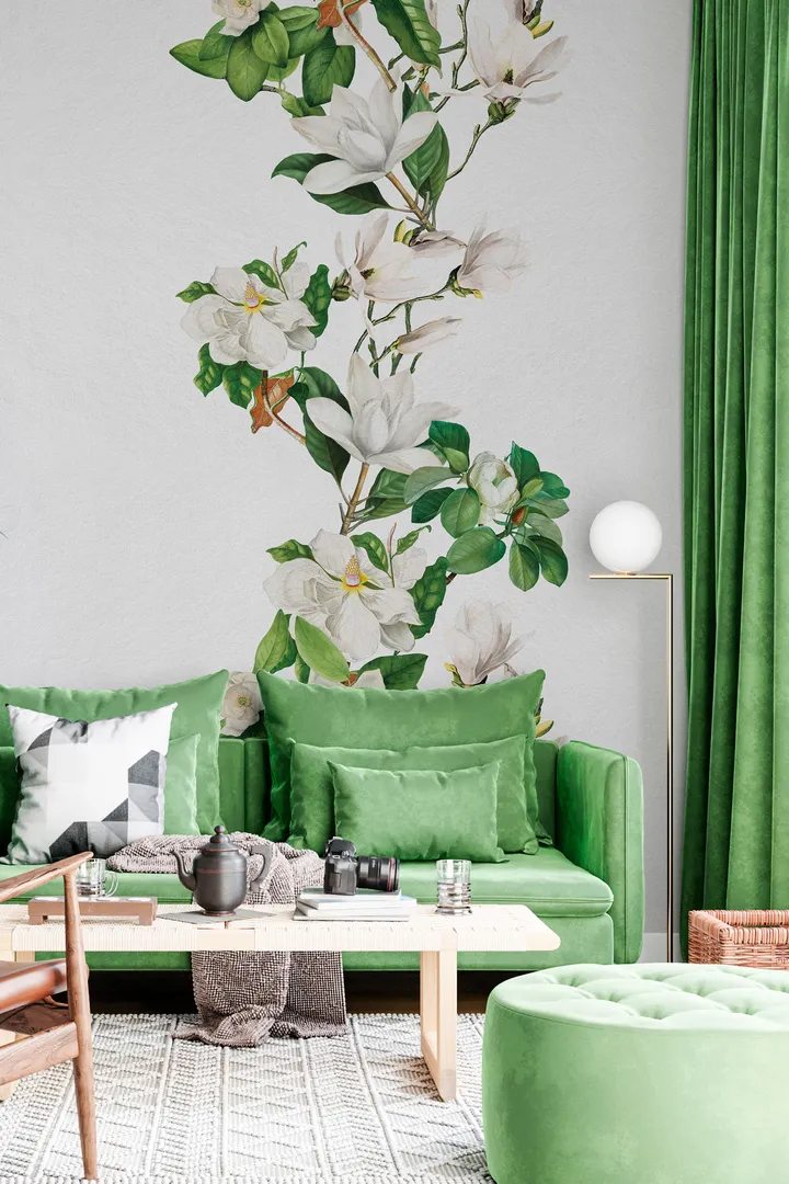 MAGNOLIA