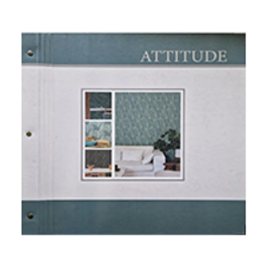 Attitude