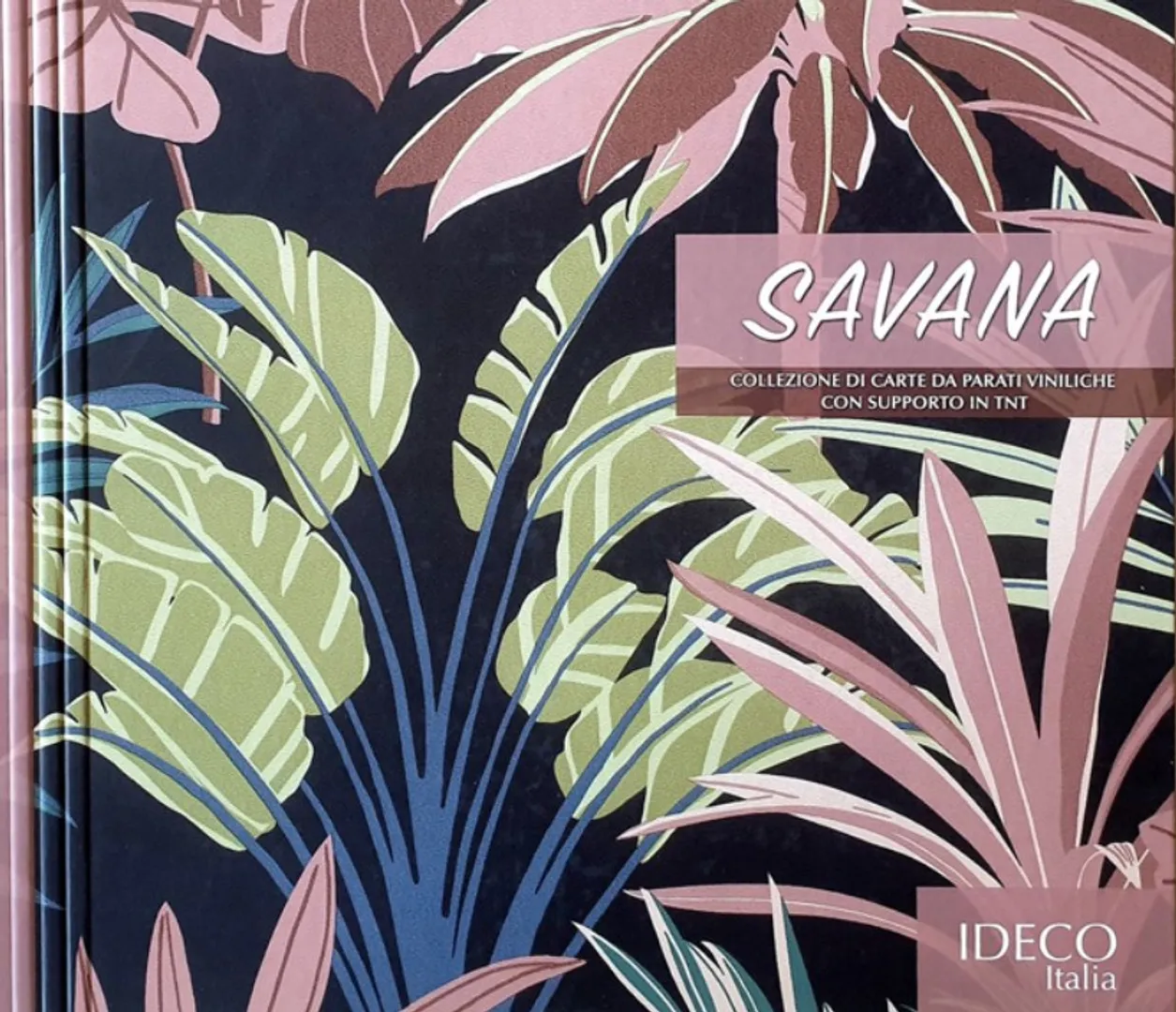 Savana
