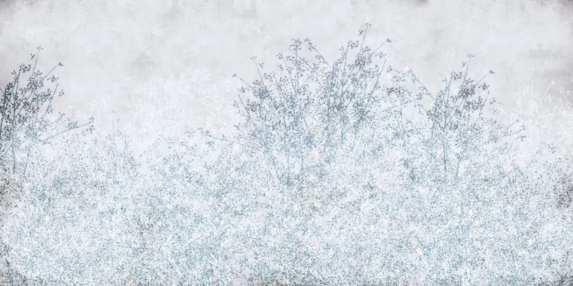 BRANCHES 1