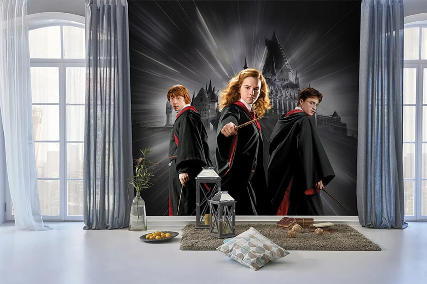 Ada Kids Murals - Poster ragazzi Harry Potter in varie dimensioni. 