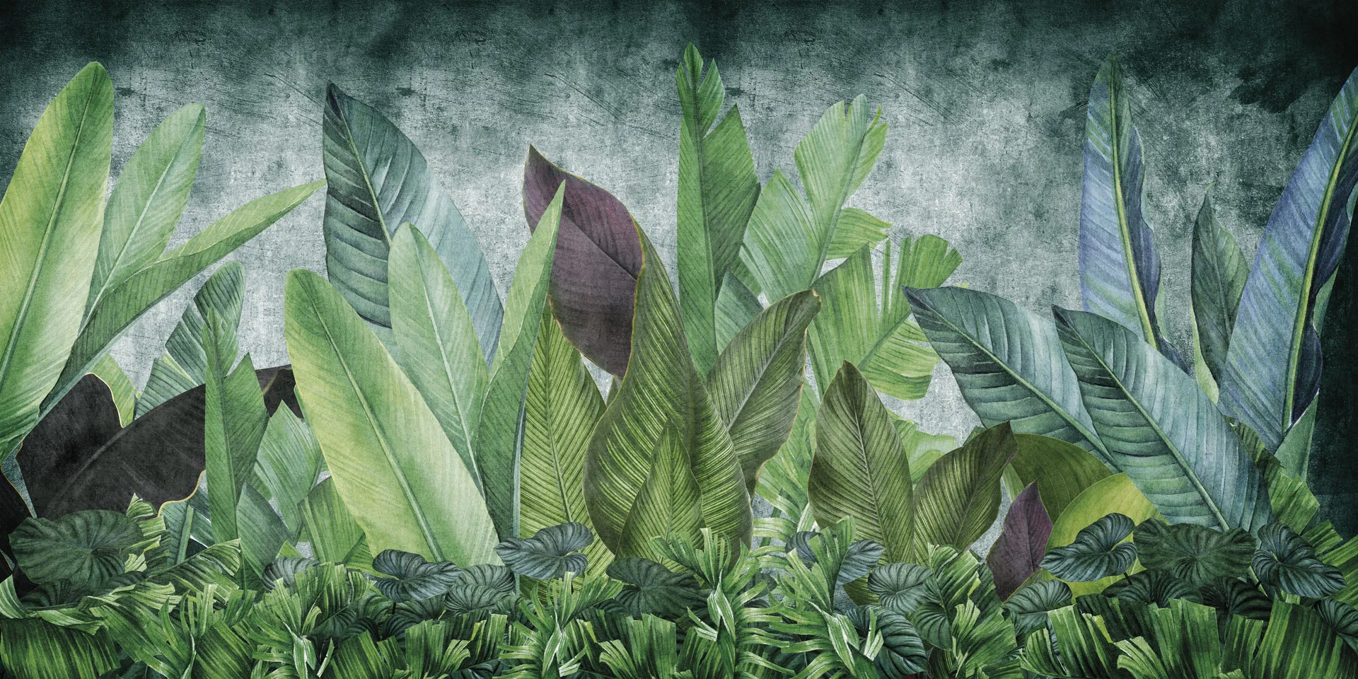 FOLIIS TROPICAE 1