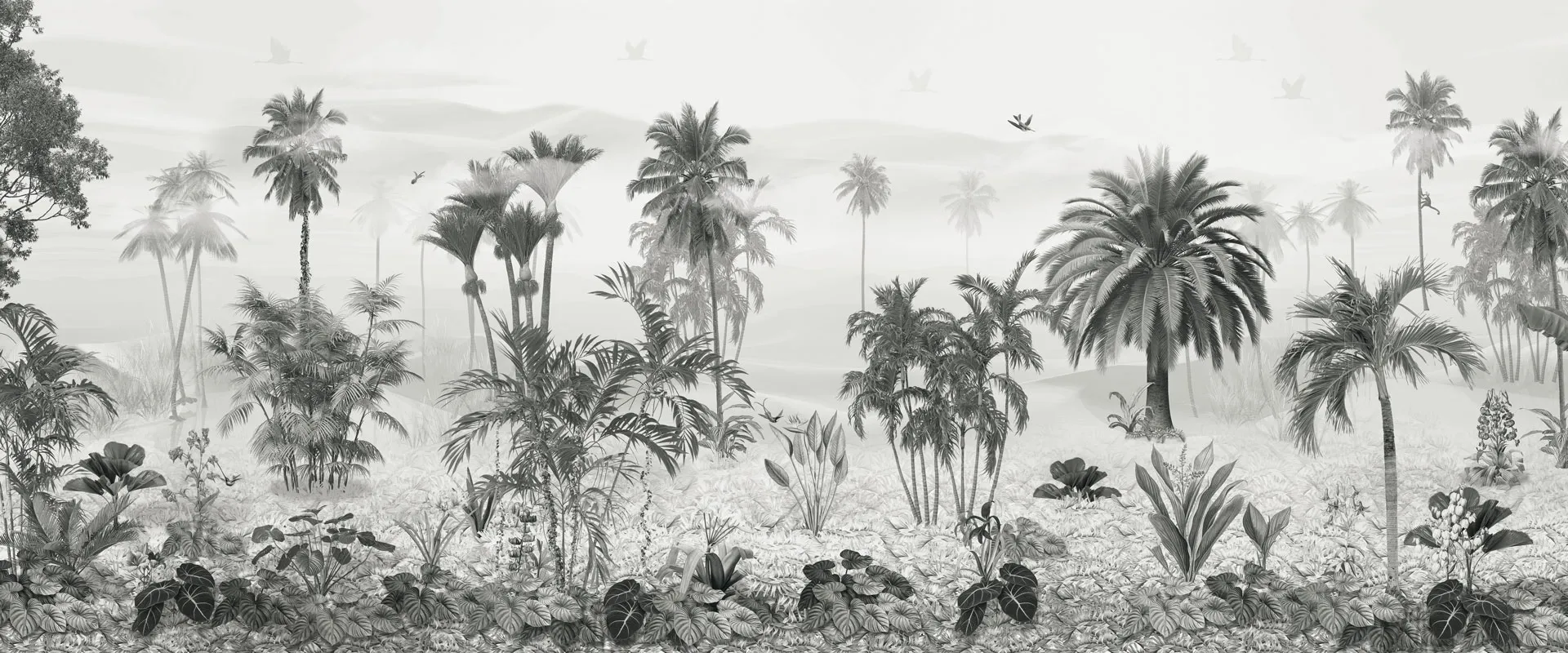 SUMATRA 1