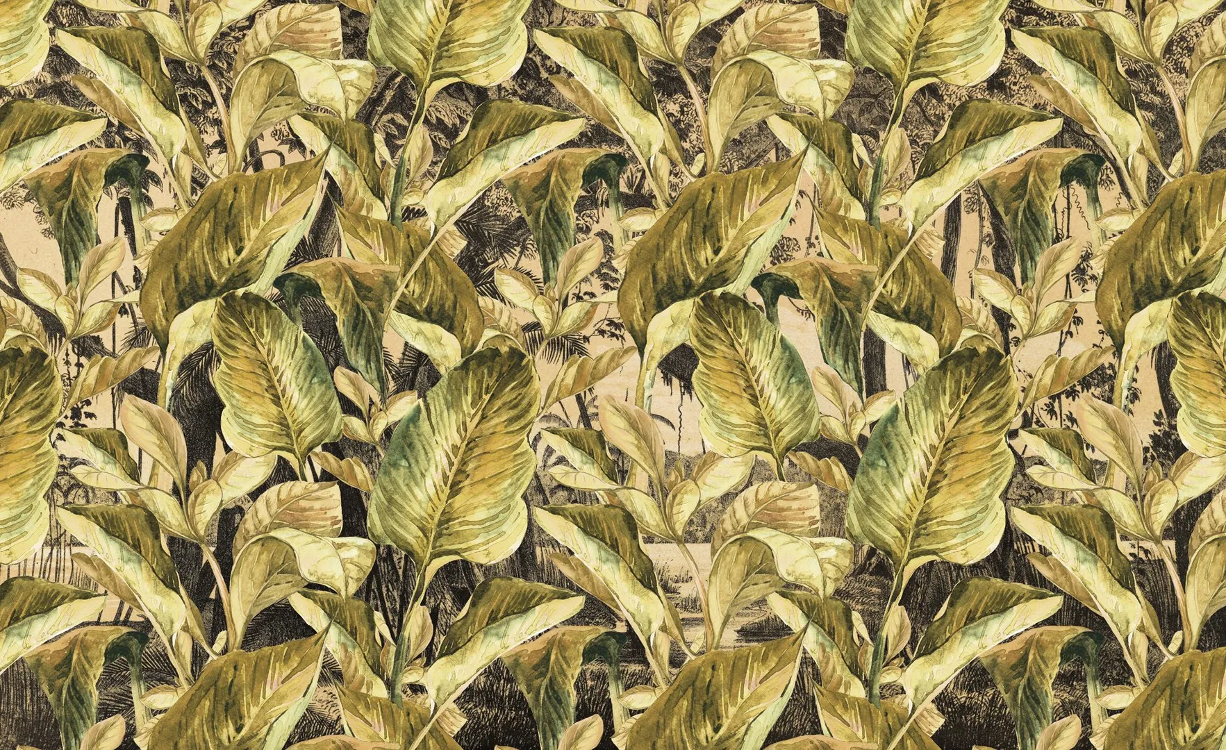 JUNGLE 1