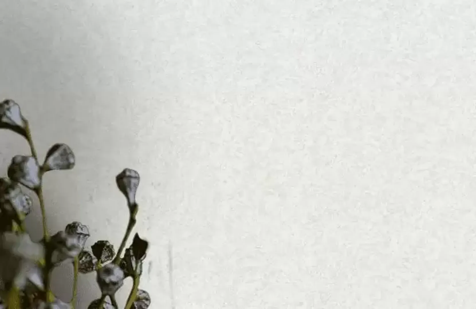 Roberto Cavalli 8 - Carta da parati in rilevo materico brillantinato. Vari colori