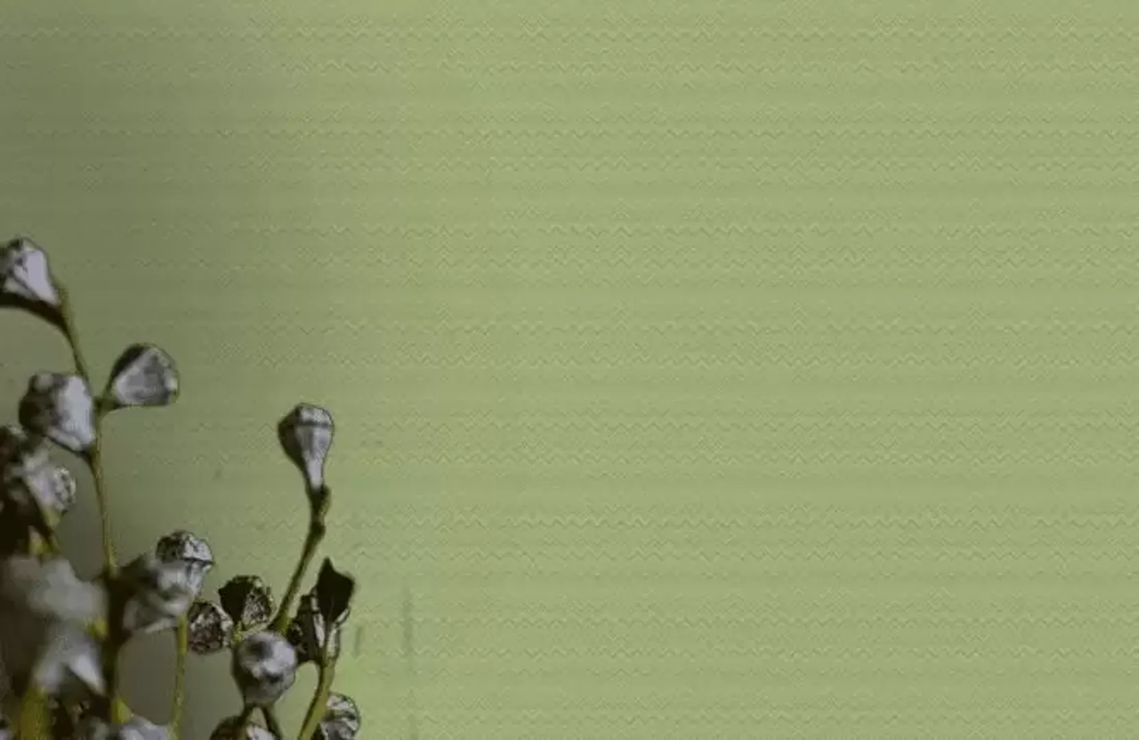 Missoni 02 - Carta zig zag stampa griffata in rilievo e vari colori