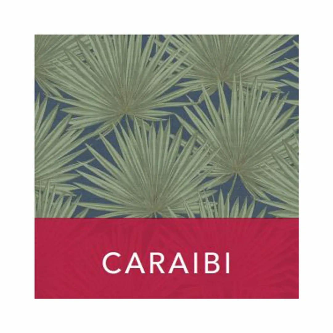 Caraibi