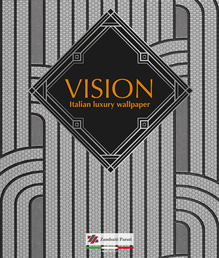 Vision