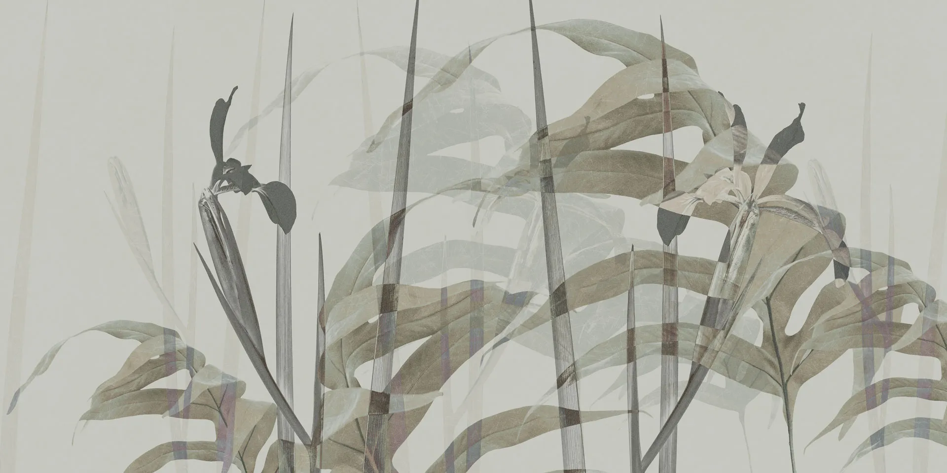 NARCISO 2