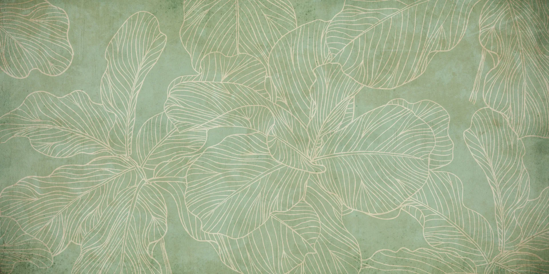FICUS 2