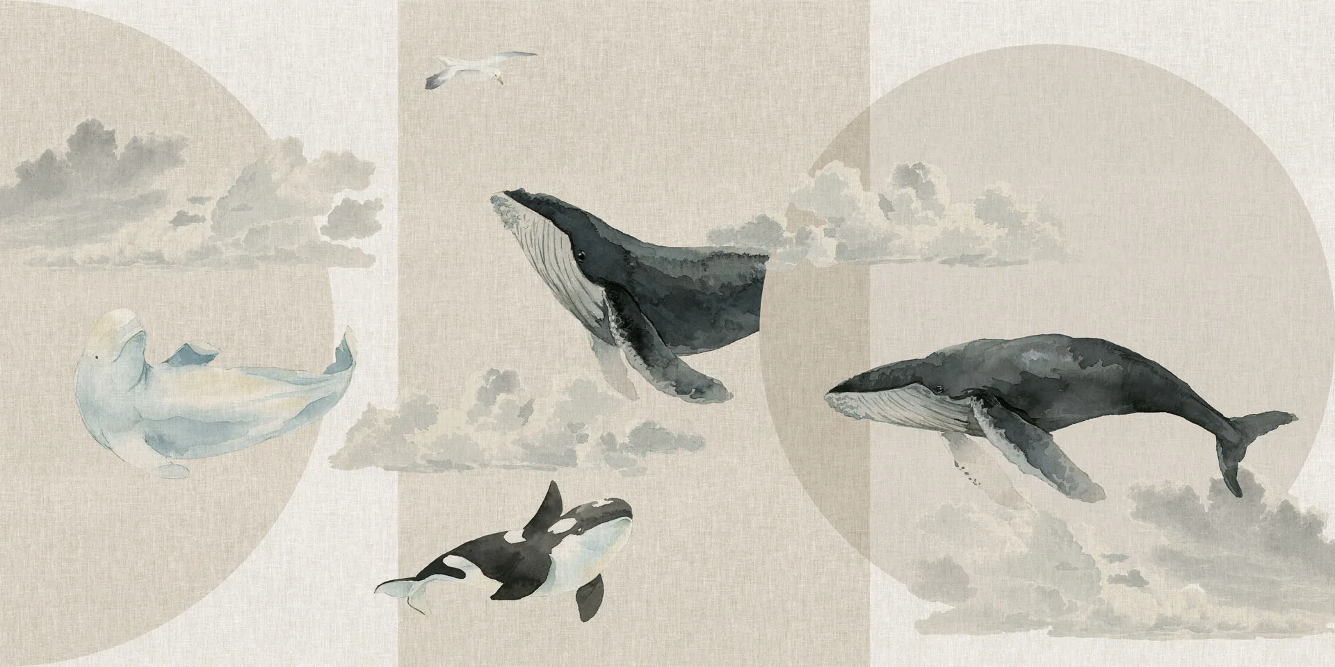 WHALES 1