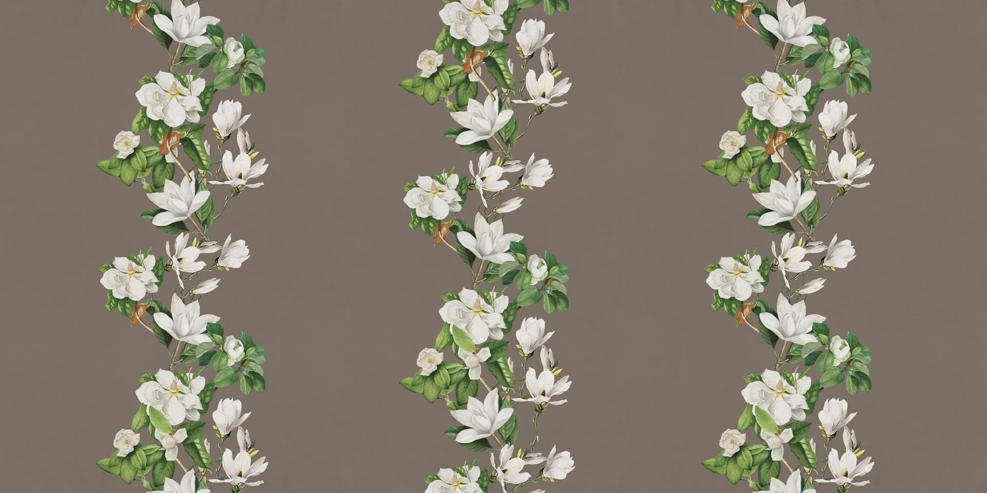 MAGNOLIA 1